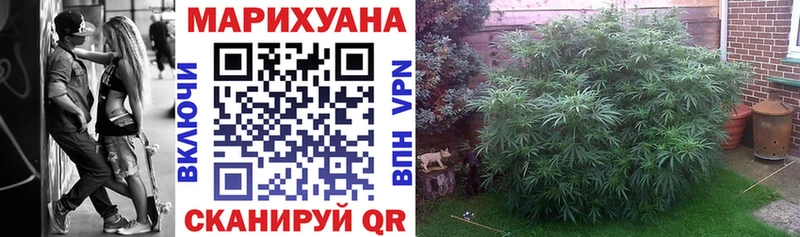 наркошоп  Сурск  площадка телеграм  Шишки марихуана AK-47 